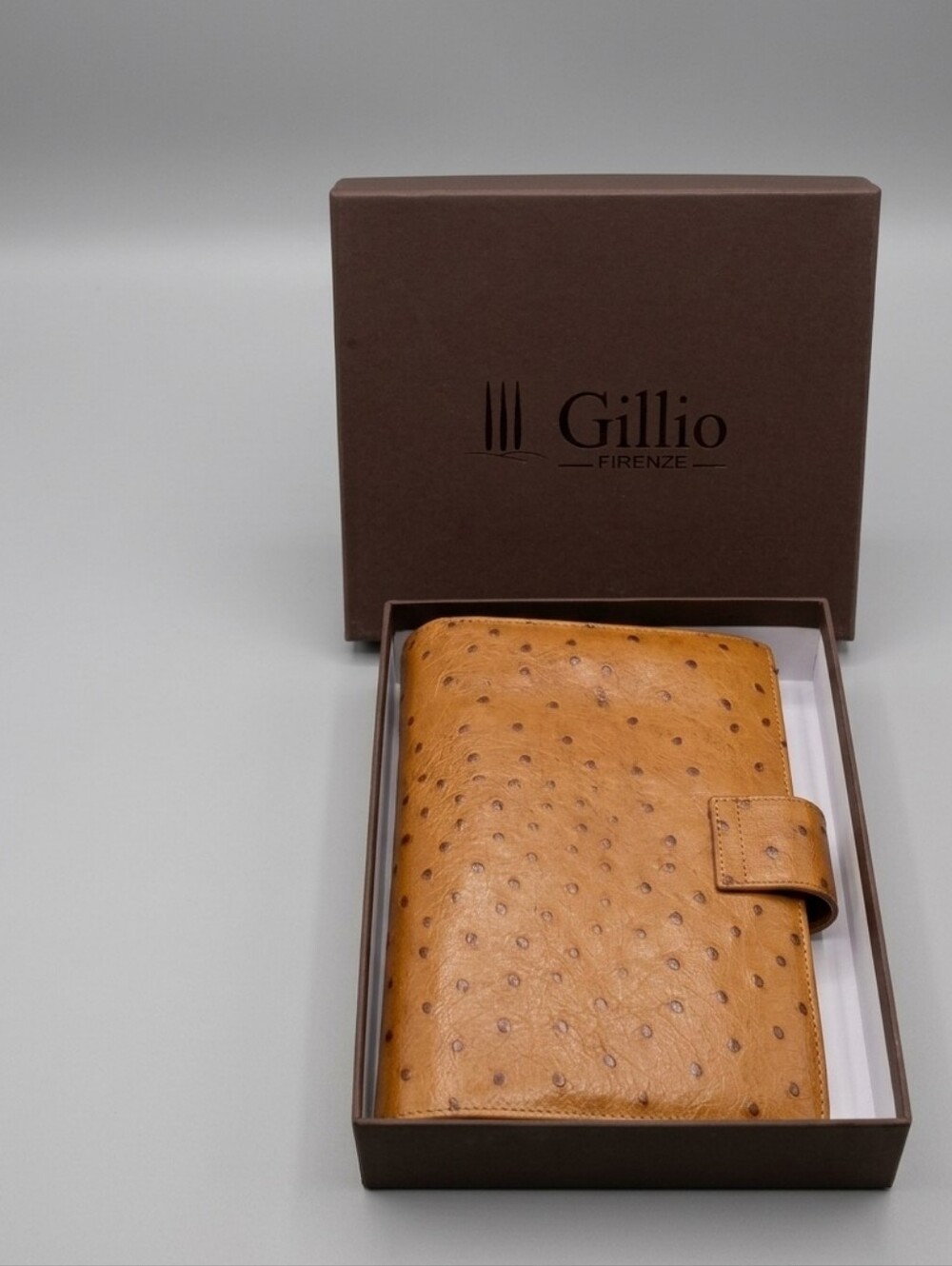Gillio Firenze  Medium Compagna 224/02 OSTRICH-074 Planner